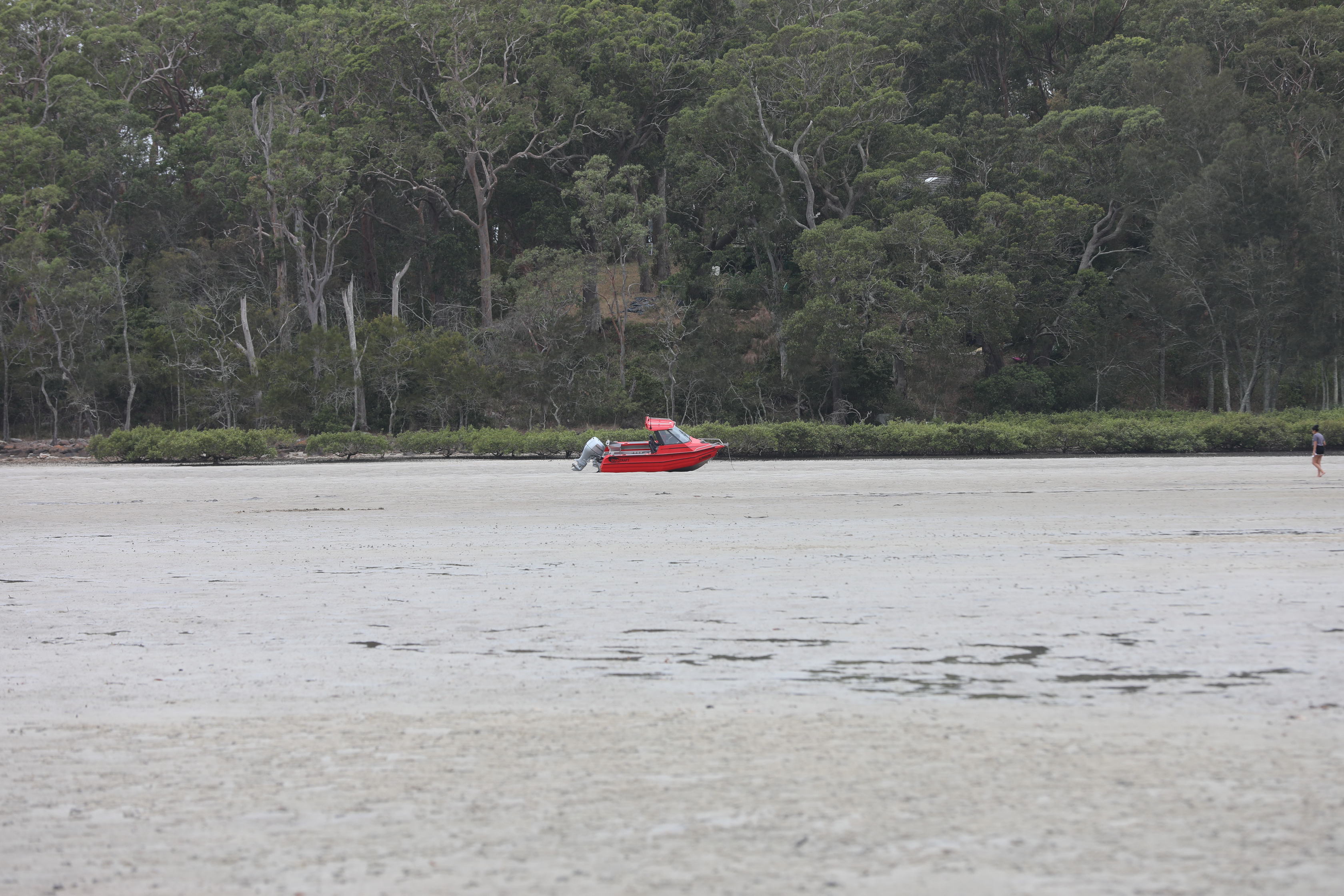 2020 01 06 13 37 24 Canon EOS 5D Mark IV 0005